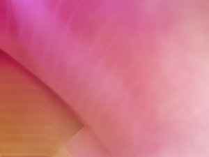 技术全方位解析